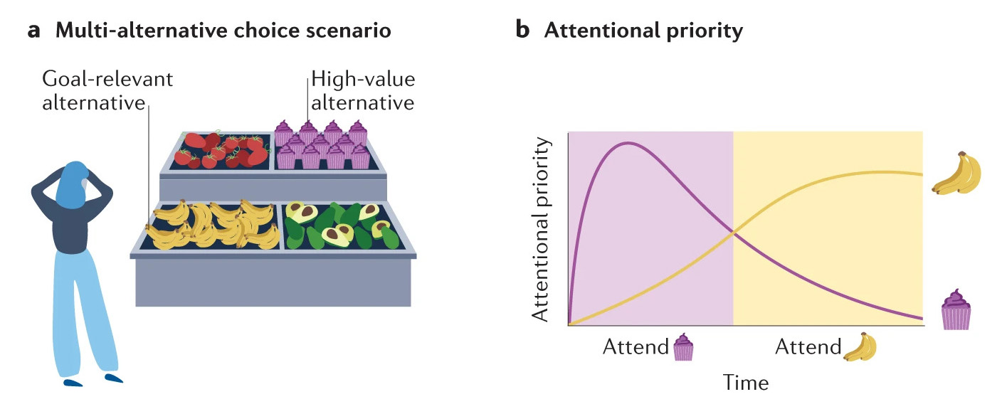 Selective history in decision-making<br>© D. Pearson, P. Watson, L. Albertella, M. E. Le Pelley, 2022 Selective history in decision-making<br>© D. Pearson, P. Watson, L. Albertella, M. E. Le Pelley, 2022